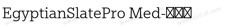 EgyptianSlatePro Med字体转换
